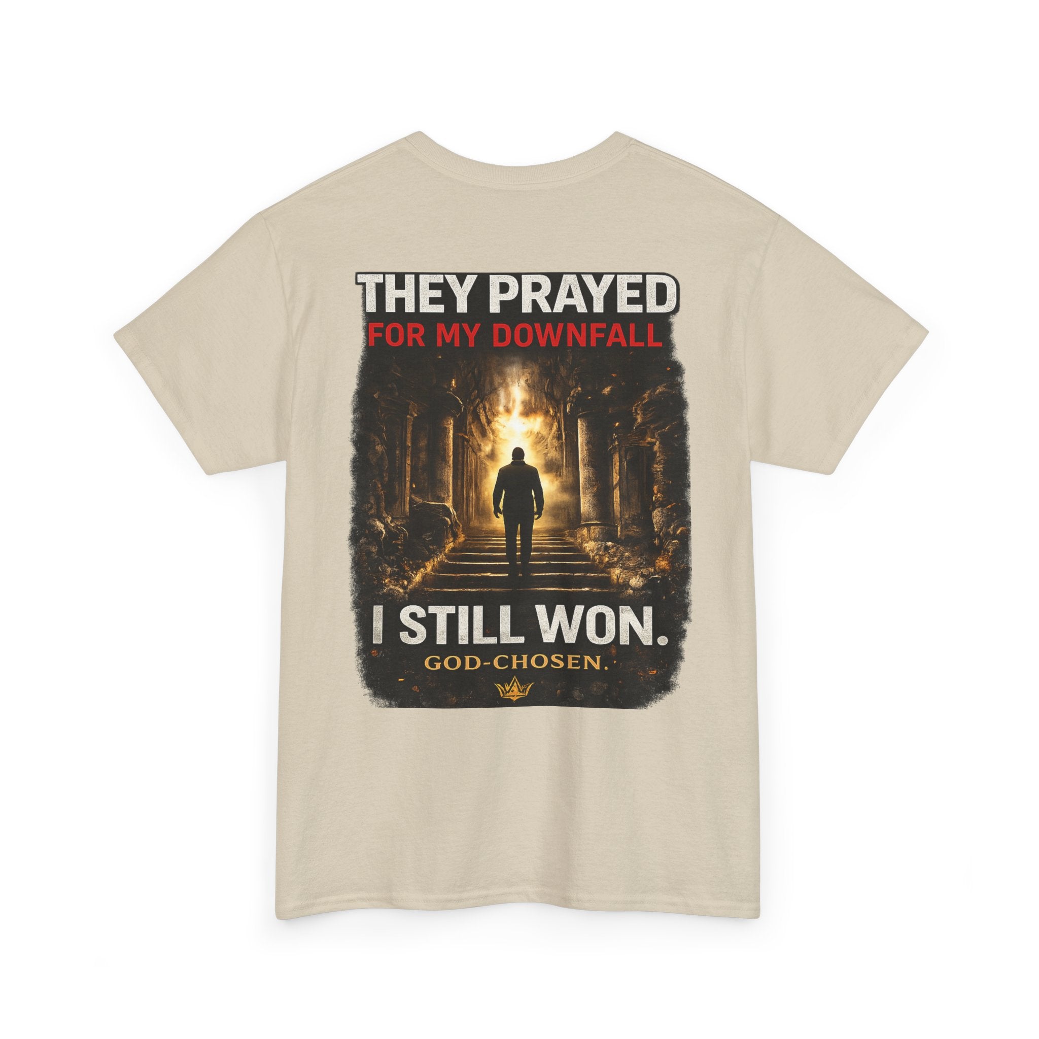 They Prayed for My Downfall And I Still Won Tee
