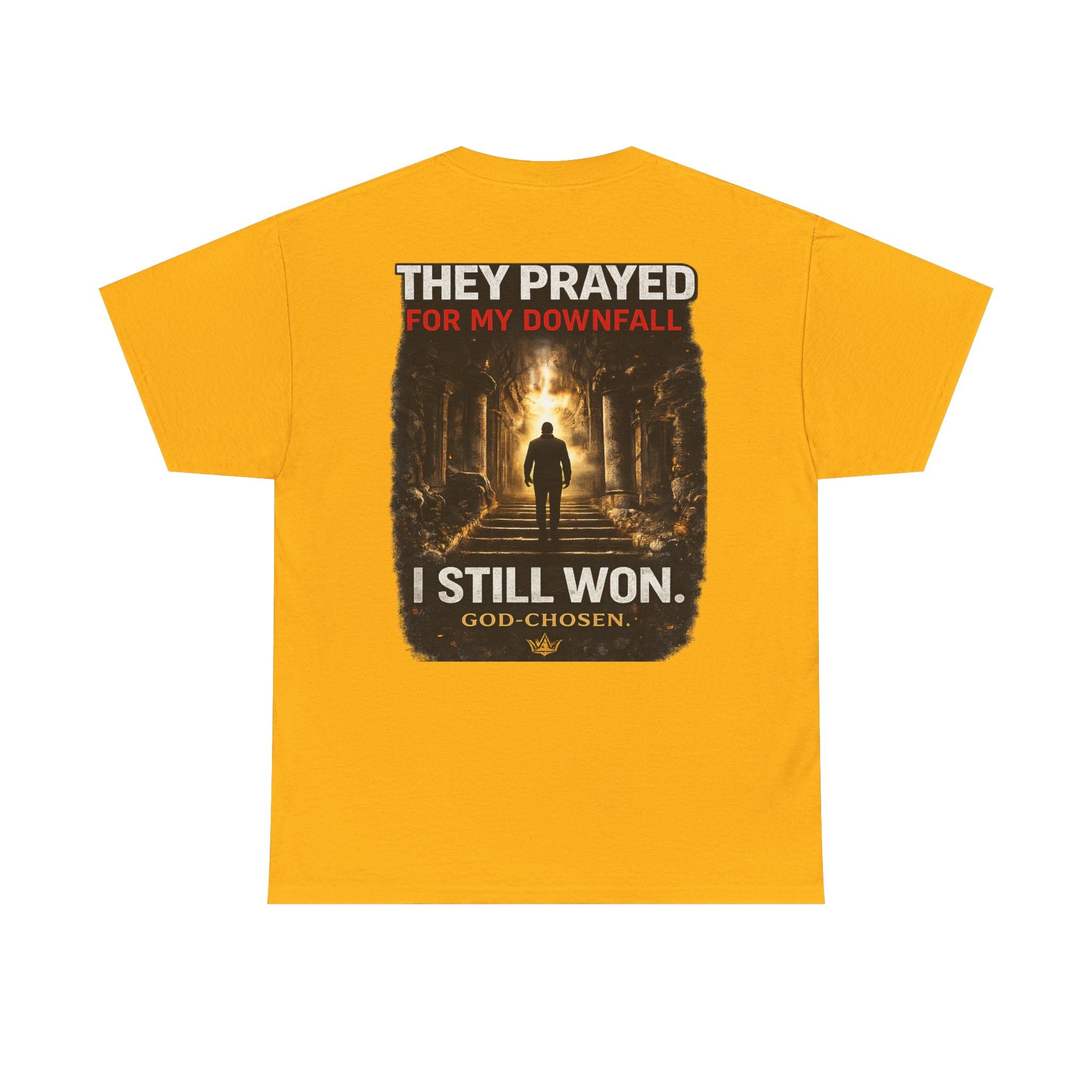 They Prayed for My Downfall And I Still Won Tee