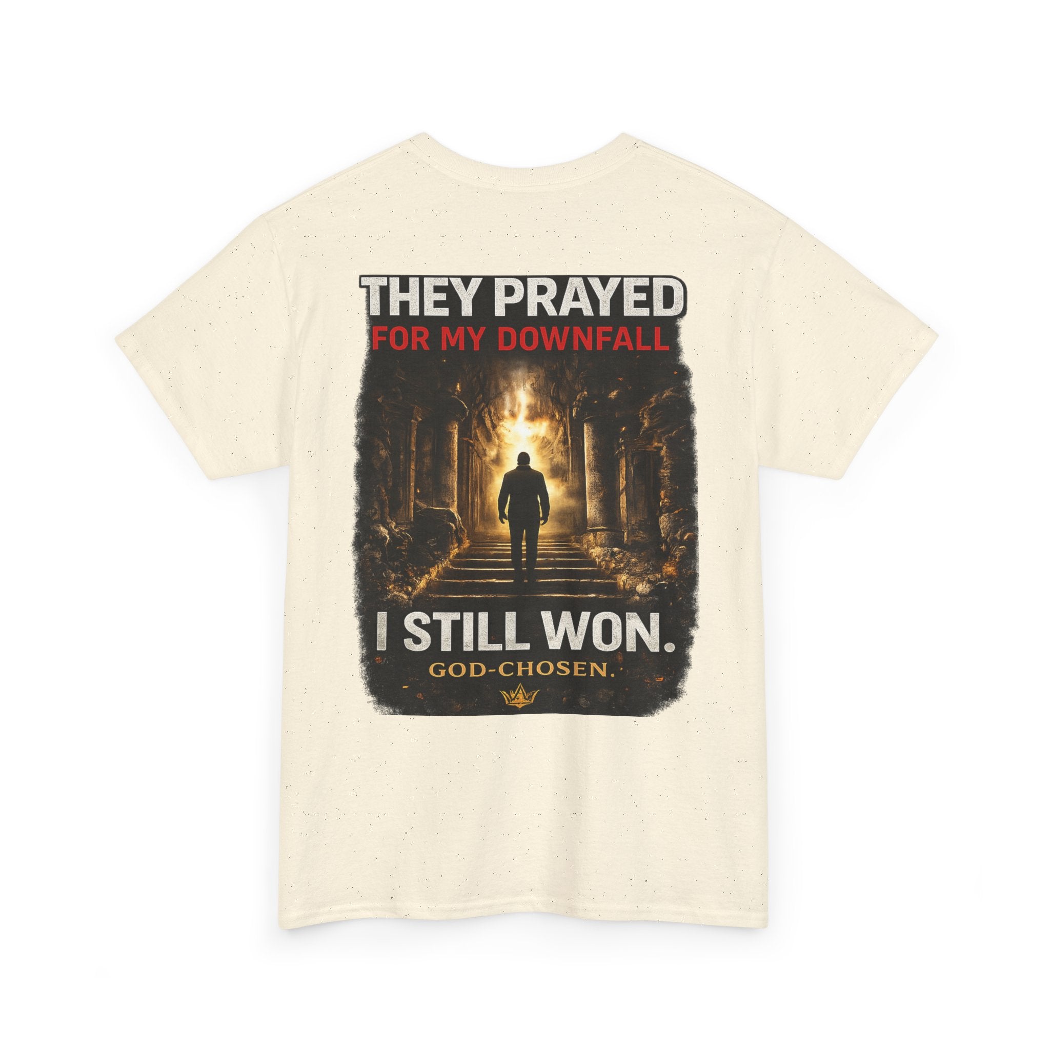 They Prayed for My Downfall And I Still Won Tee