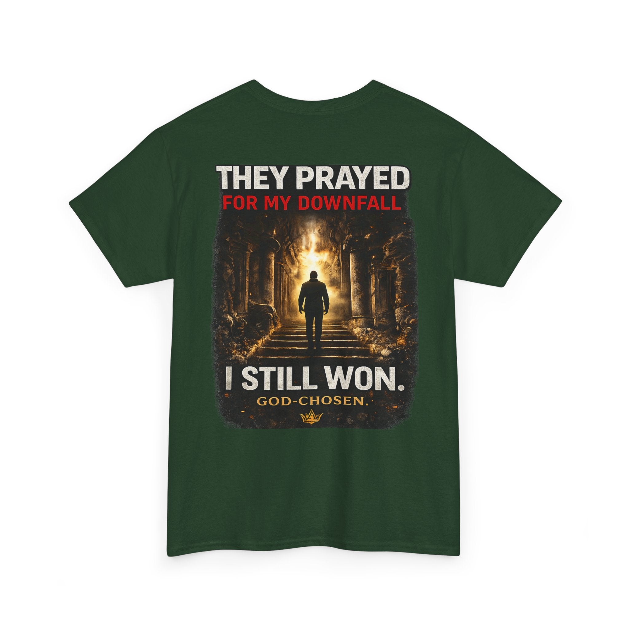 They Prayed for My Downfall And I Still Won Tee