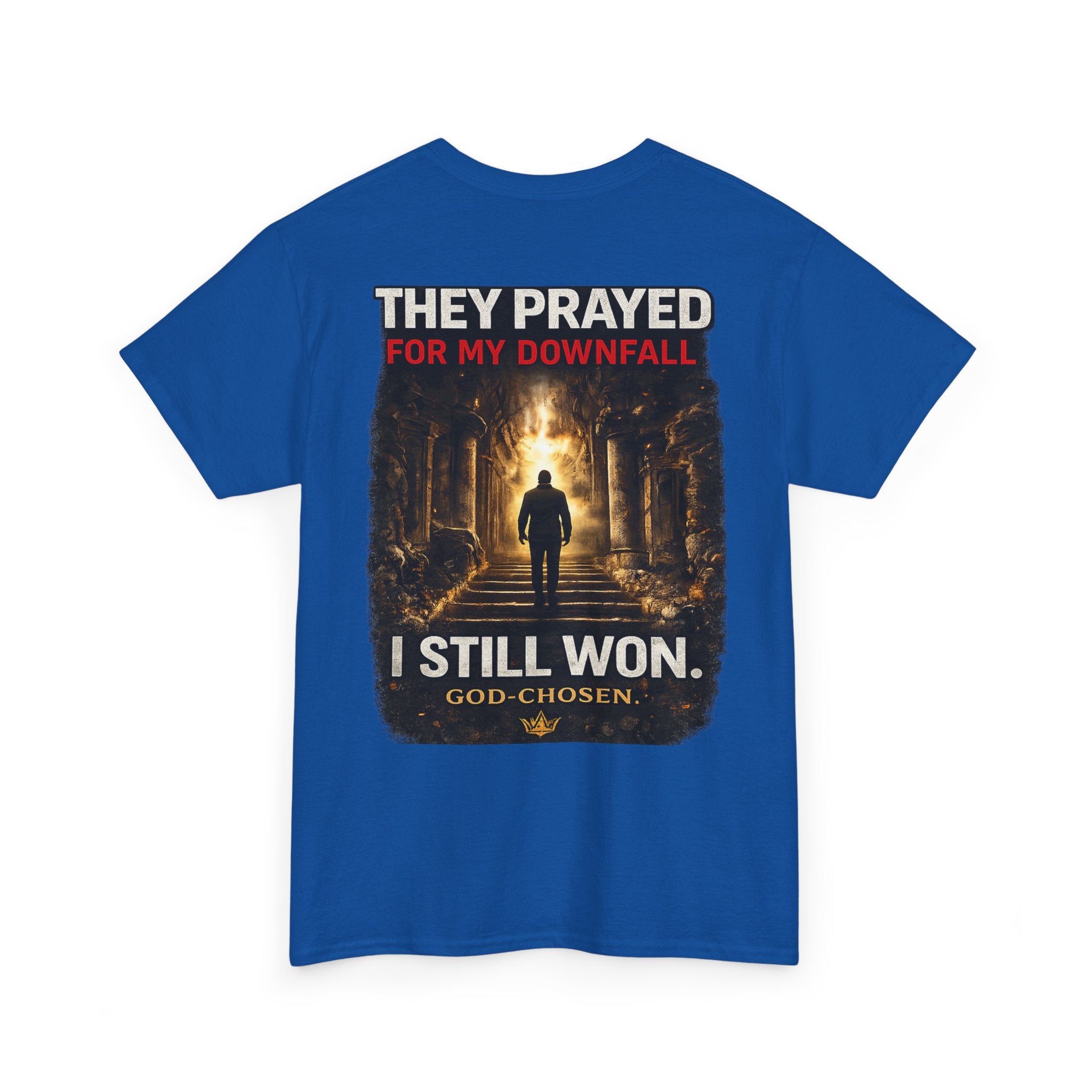 They Prayed for My Downfall And I Still Won Tee