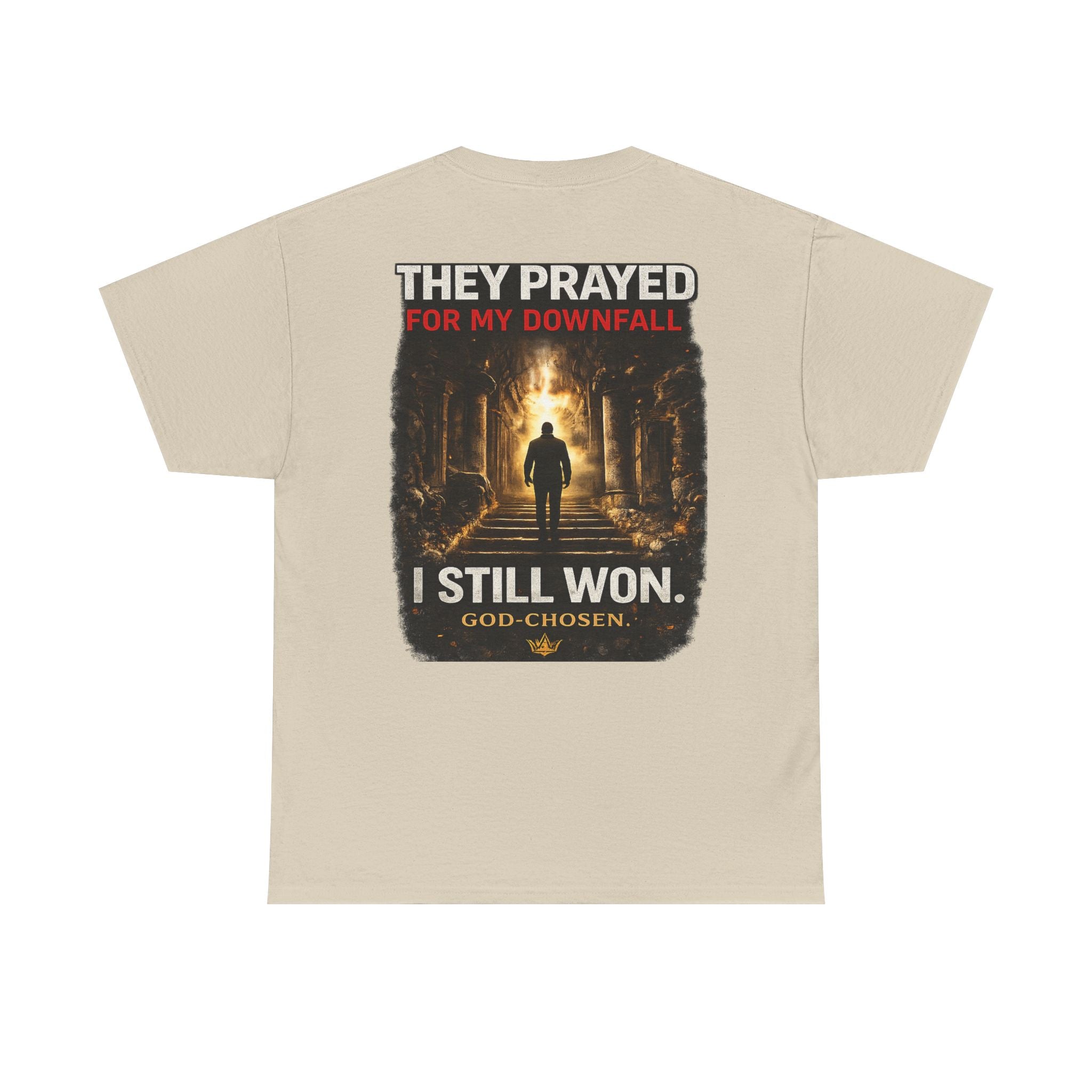 They Prayed for My Downfall And I Still Won Tee